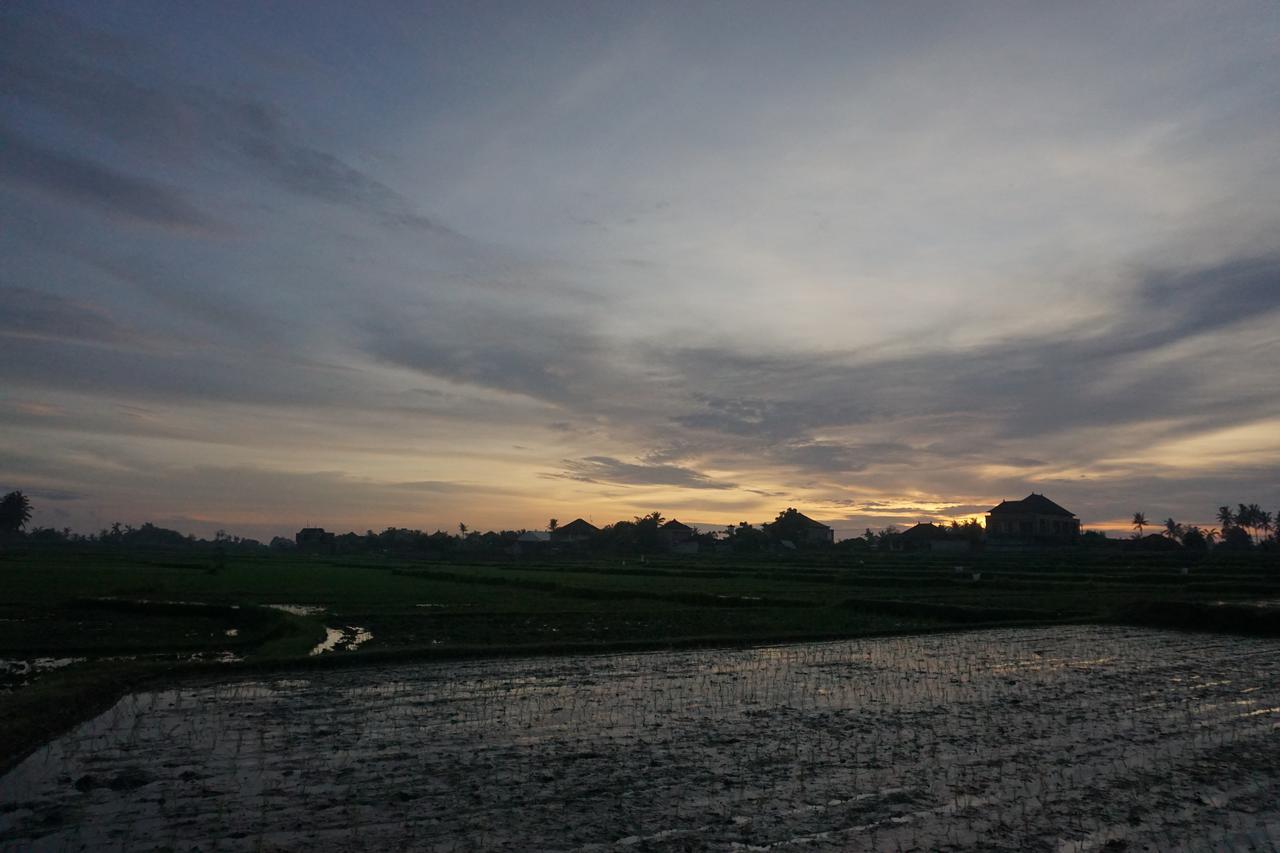 Pondok Uma Ubud Buitenkant foto